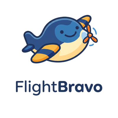 Animated FlightBravo cartoon airplane
